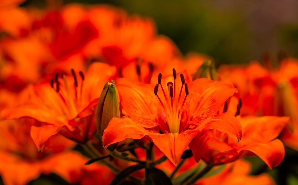 .....
