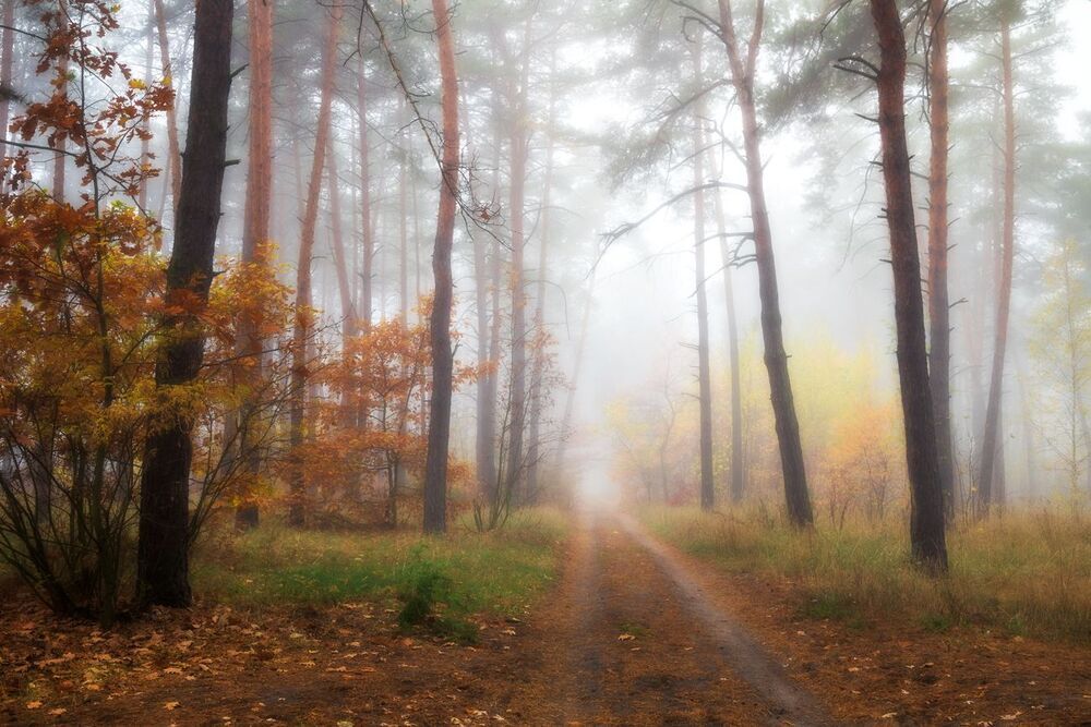 Время белого тумана, октябрь