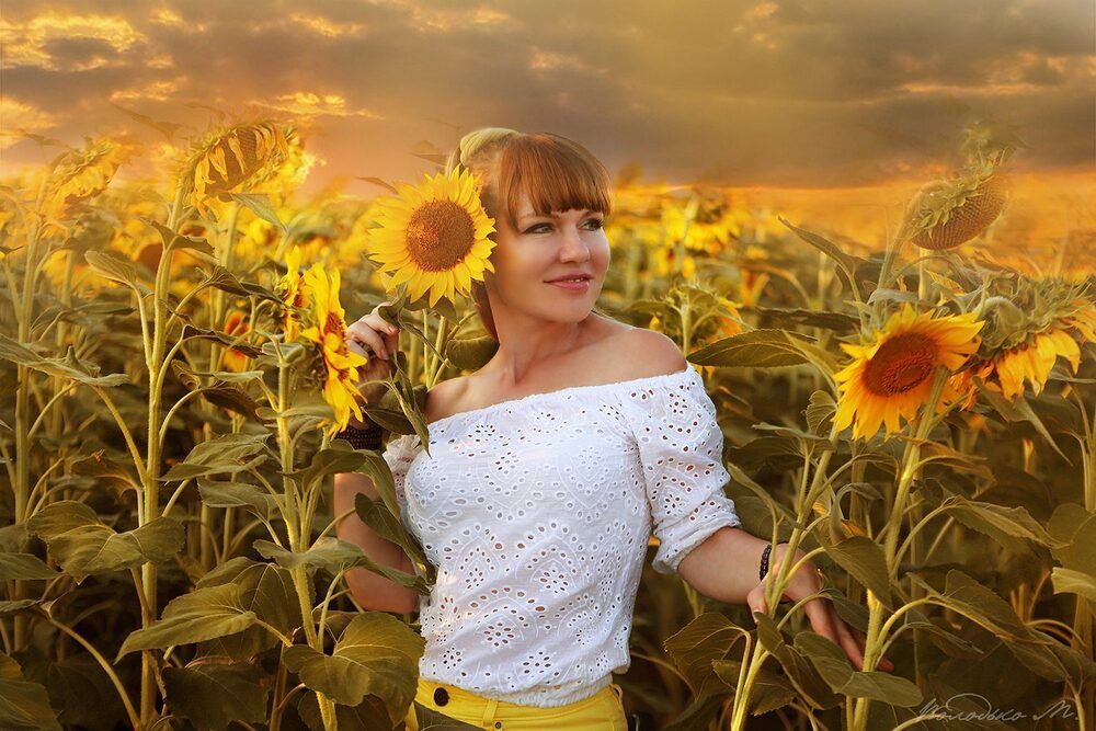 Подсолнушки