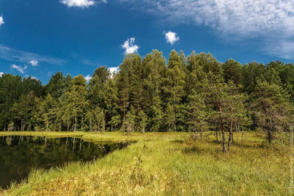 Лесное озерко на Валдае