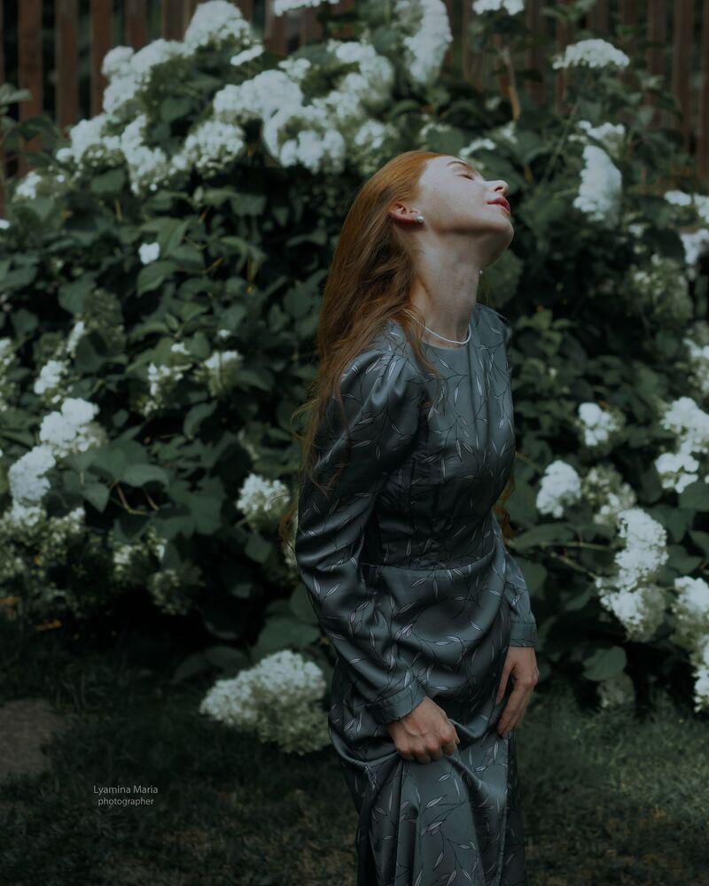 Photo 1978930