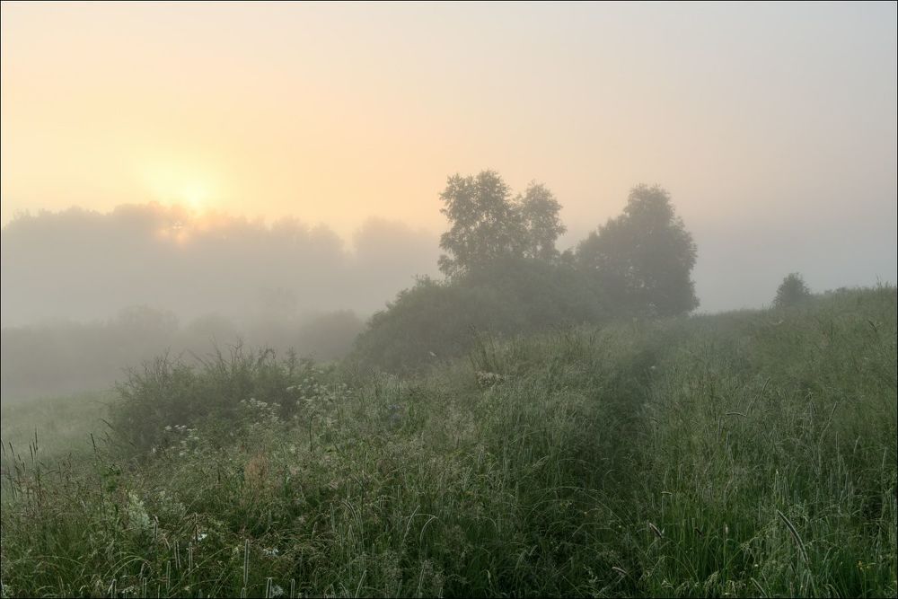 Солнце вышло из-за леса, но ещё остались нежные краски.