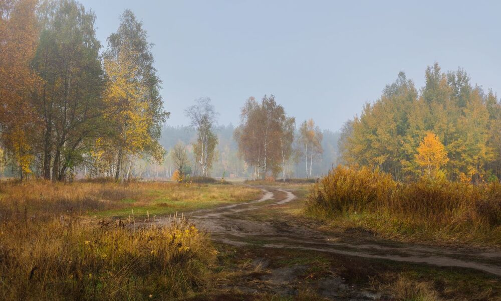 И осень пьяная бредёт из тёмных чащ в осенние луга