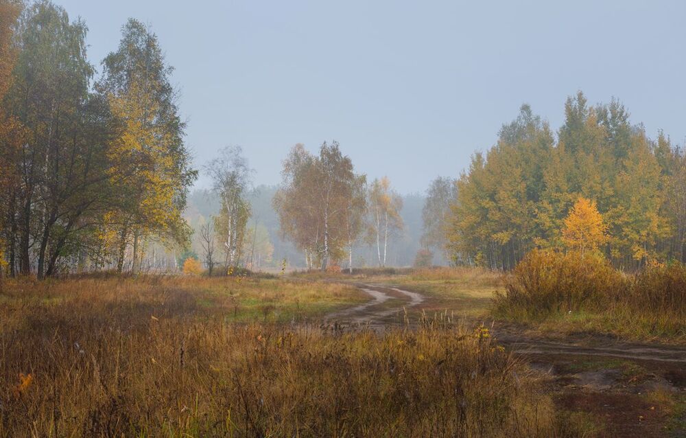 И осень пьяная бредёт из тёмных чащ в осенние луга