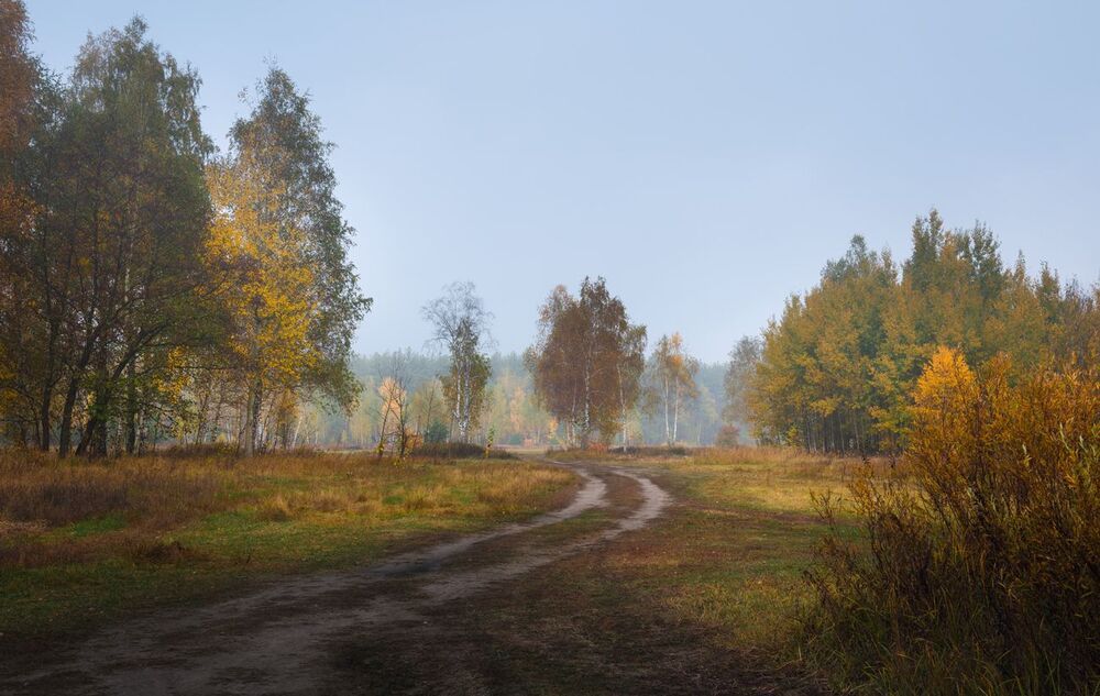 И осень пьяная бредёт из тёмных чащ в осенние луга