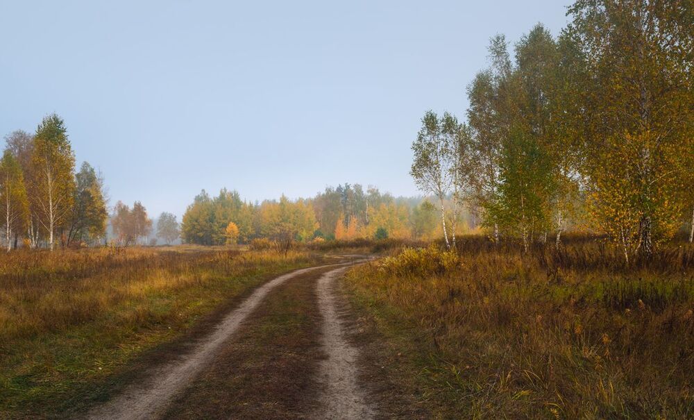 И осень пьяная бредёт из тёмных чащ в осенние луга