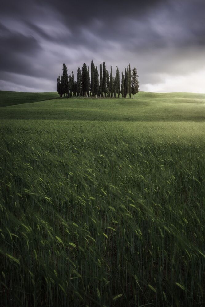 Landscape