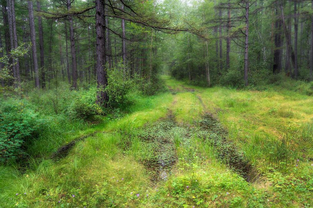 По Арейским тропам
