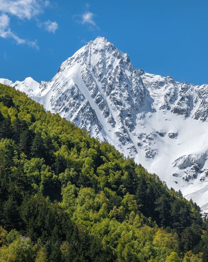 Весенняя зелень в горах