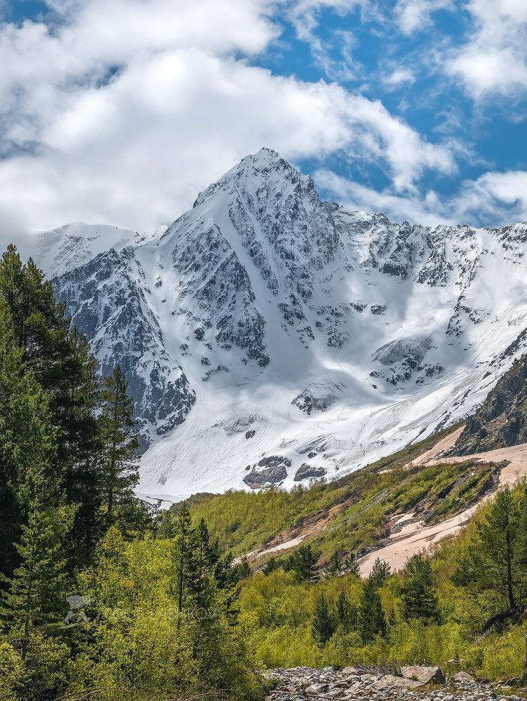 Весенняя зелень в горах