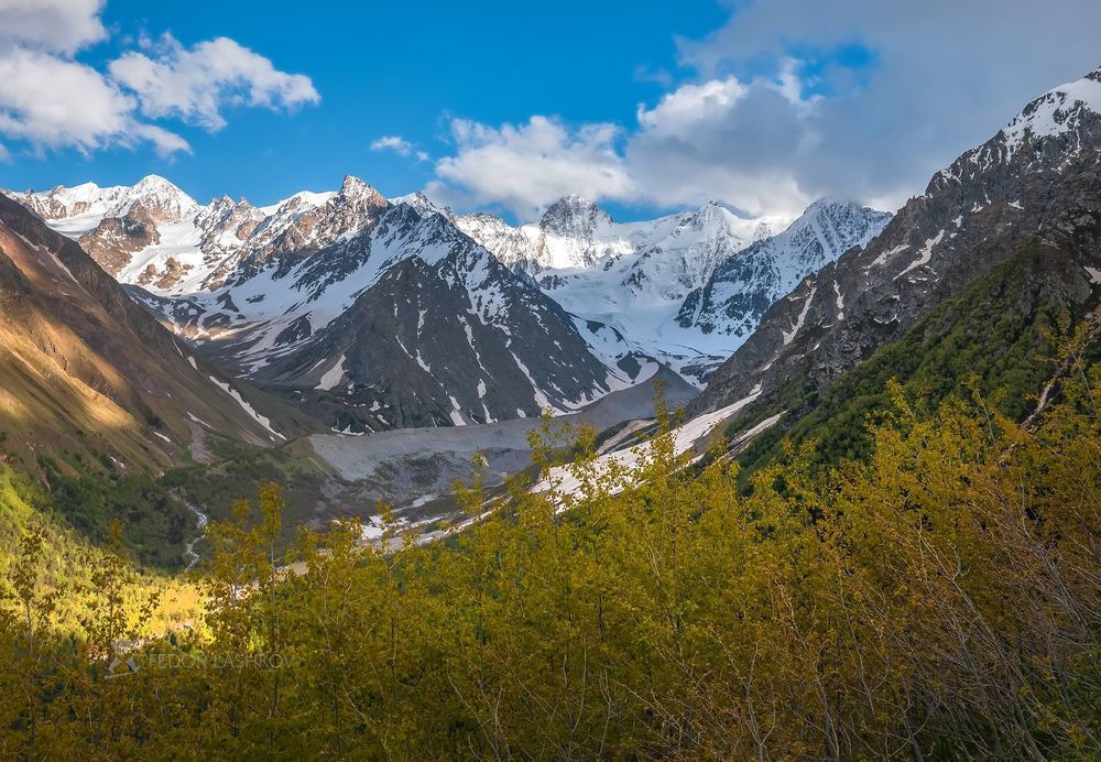 Весенняя зелень в горах