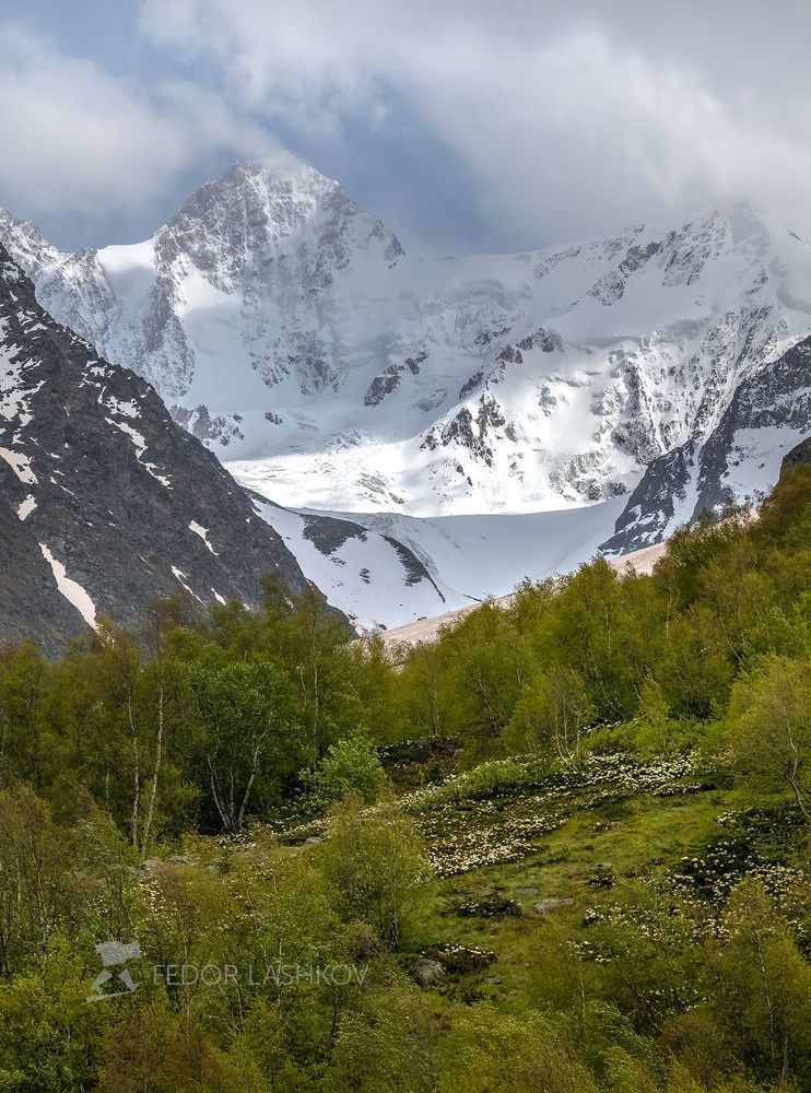 Весенняя зелень в горах