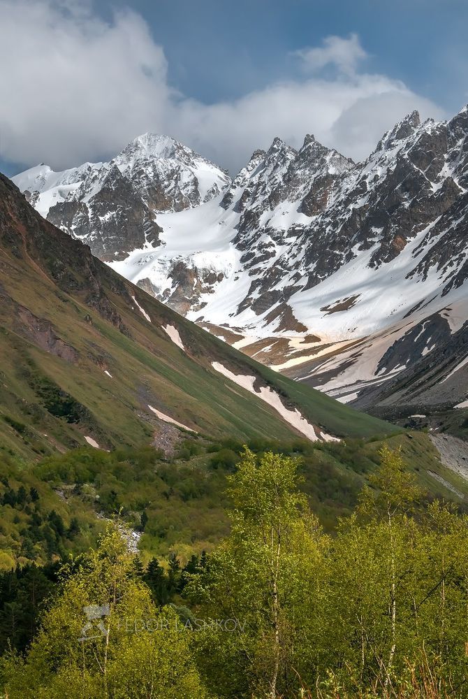 Весенняя зелень в горах