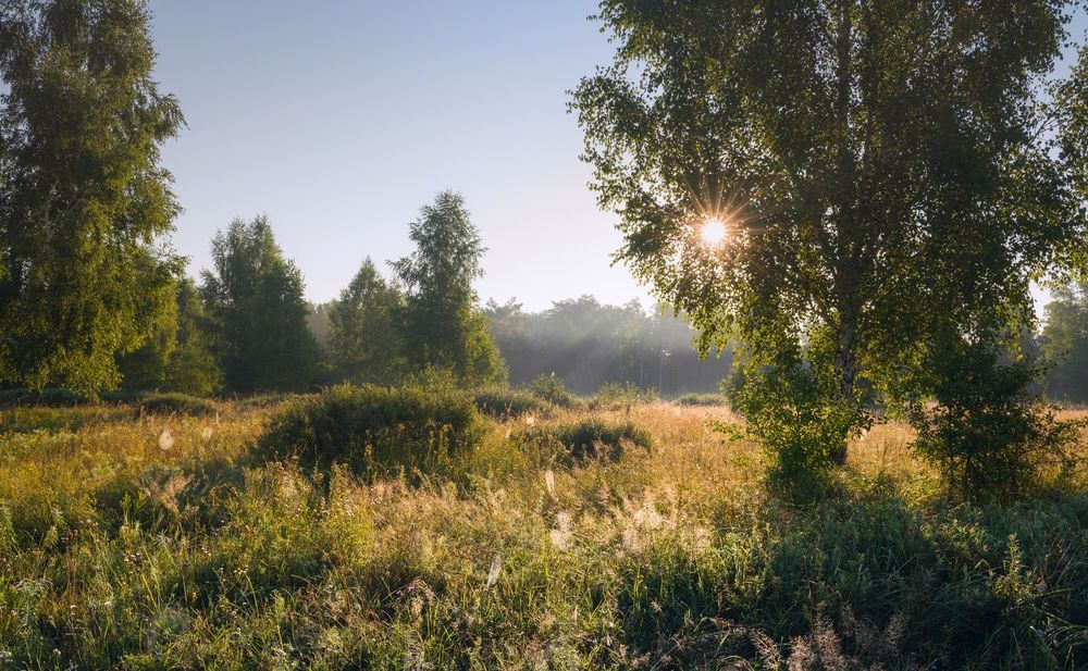 Лето в разгаре, август