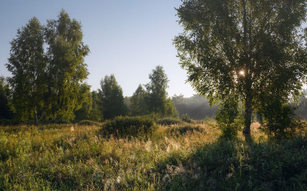 Лето в разгаре, август