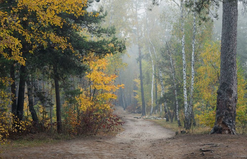 Середина осени