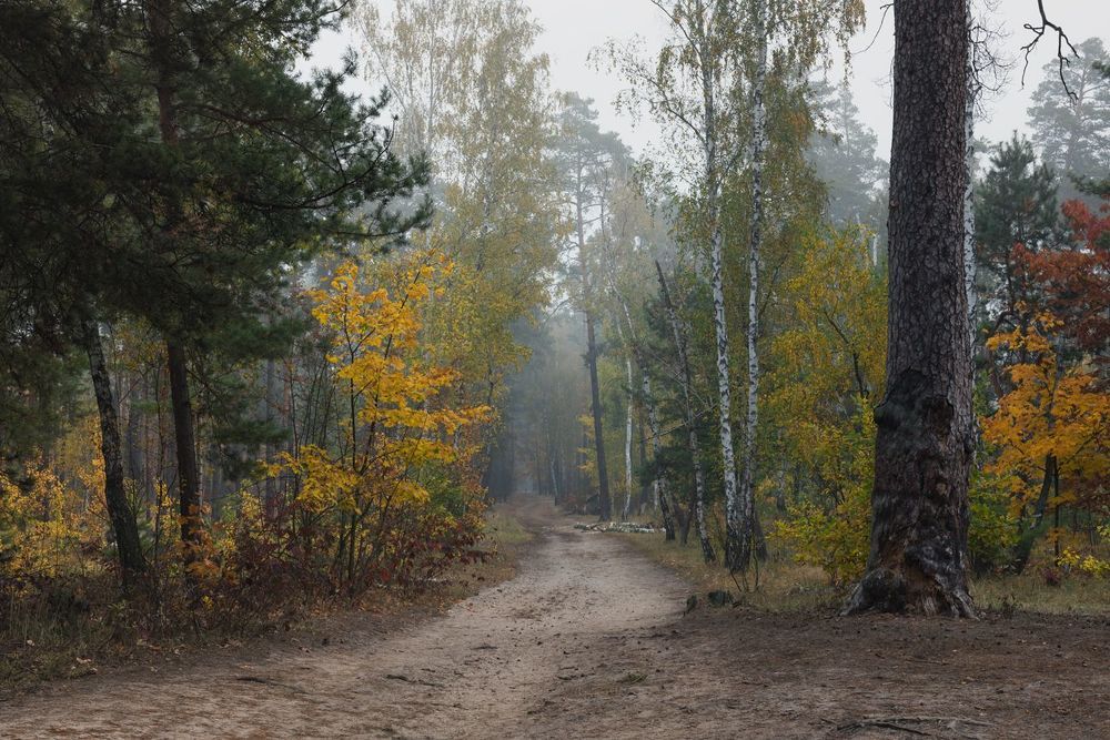 Середина осени