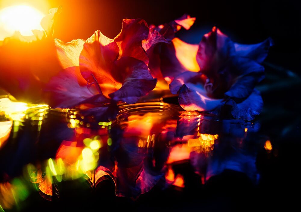 Frozen fire, wounded ice