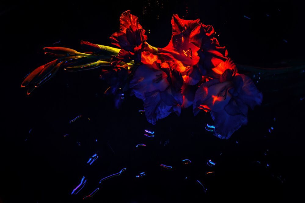 Frozen fire, wounded ice