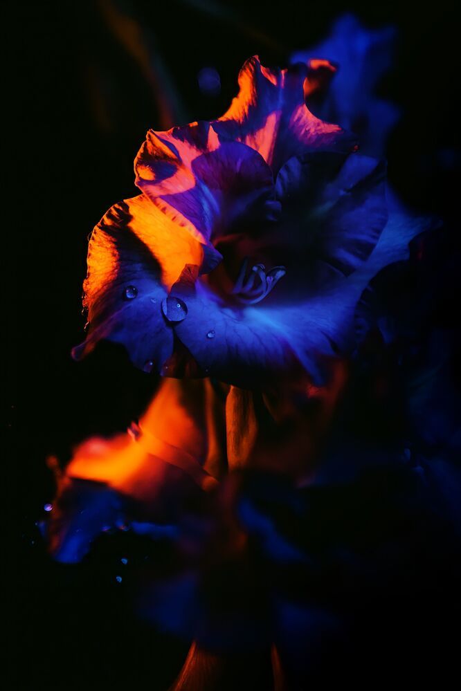 Frozen fire, wounded ice