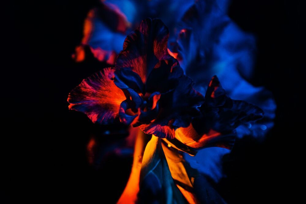 Frozen fire, wounded ice