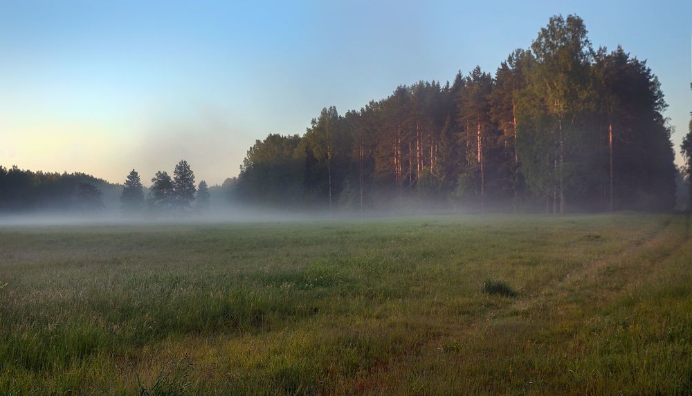 Павловский. . .