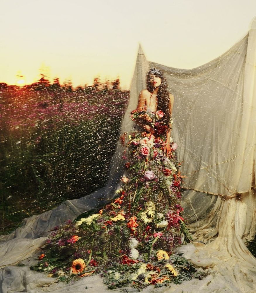 &laquo;Flowers storm&raquo;??