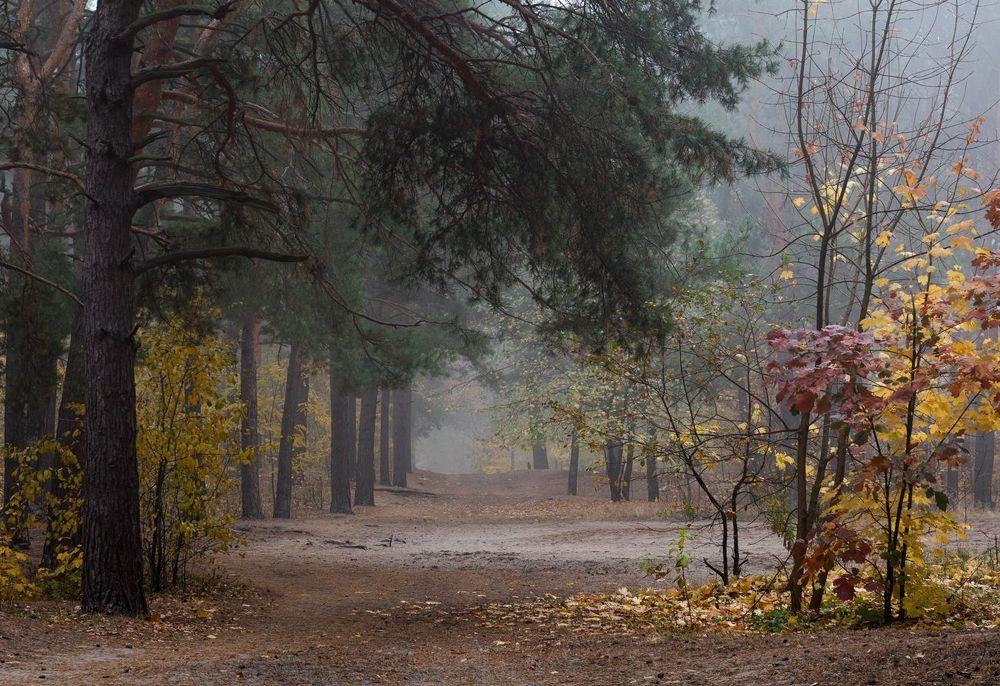 Когда приходит глубокая грусть