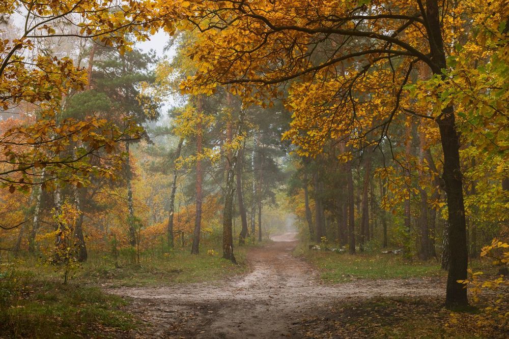 Середина осени, царство красоты