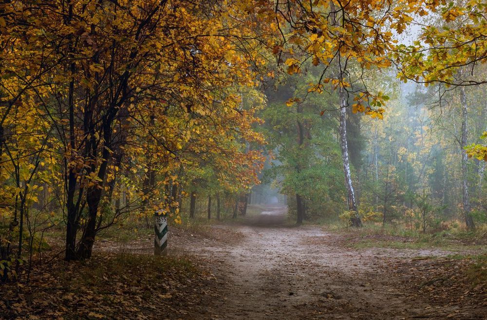Середина осени, царство красоты