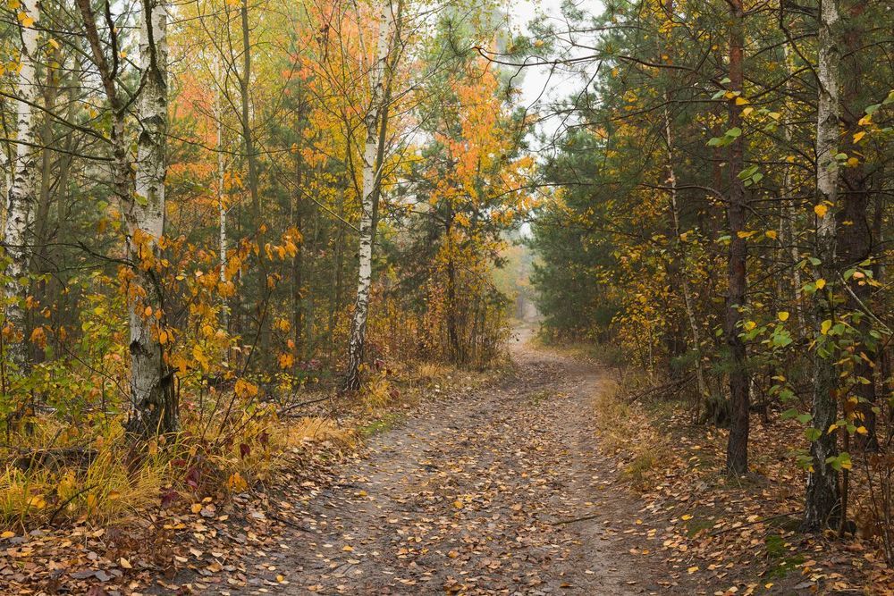 Середина осени, царство красоты