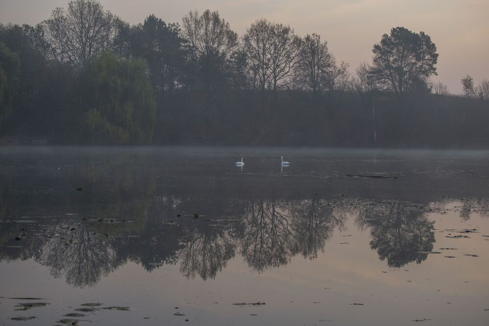 pre-dawn...