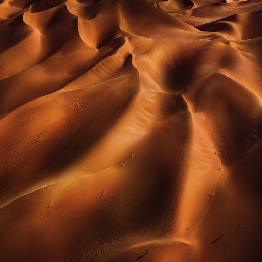 Abstraction. Squared Sahara Desert.
