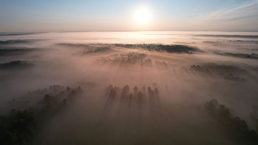 Туманное утро, вблизи от Томска