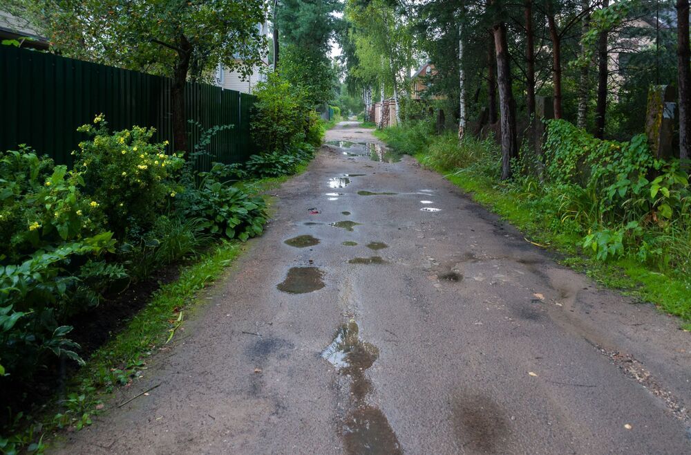 Дачные зарисовки