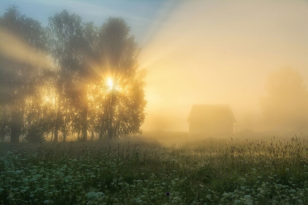 Утро наполненное светом.