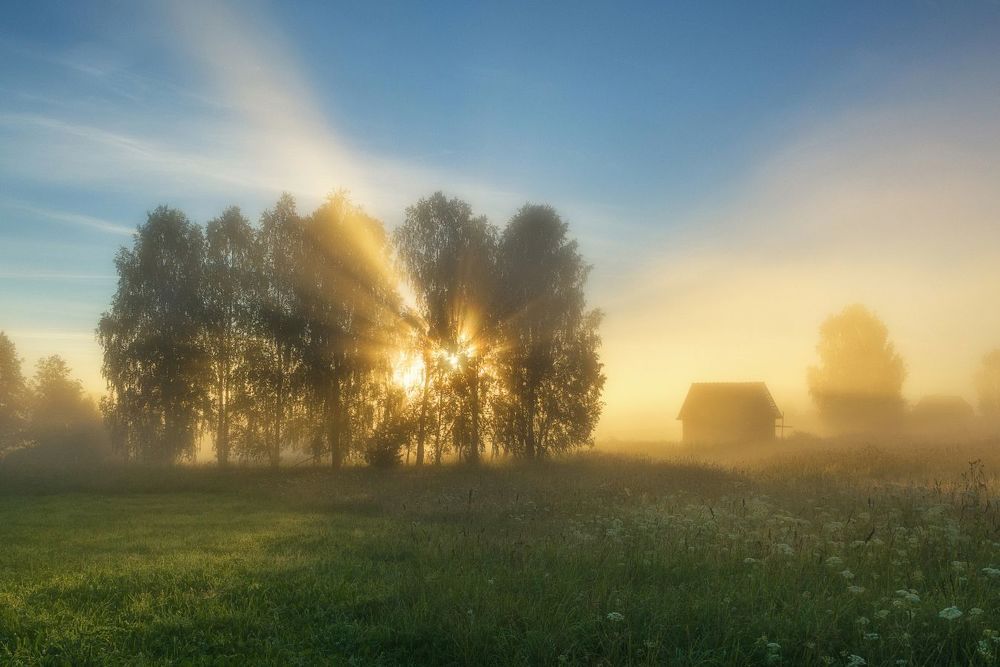 Утро наполненное светом.