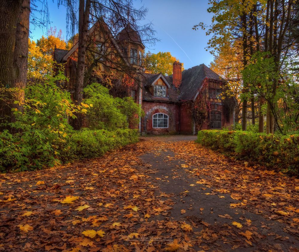 Осенние зарисовки пригородов Петербурга...