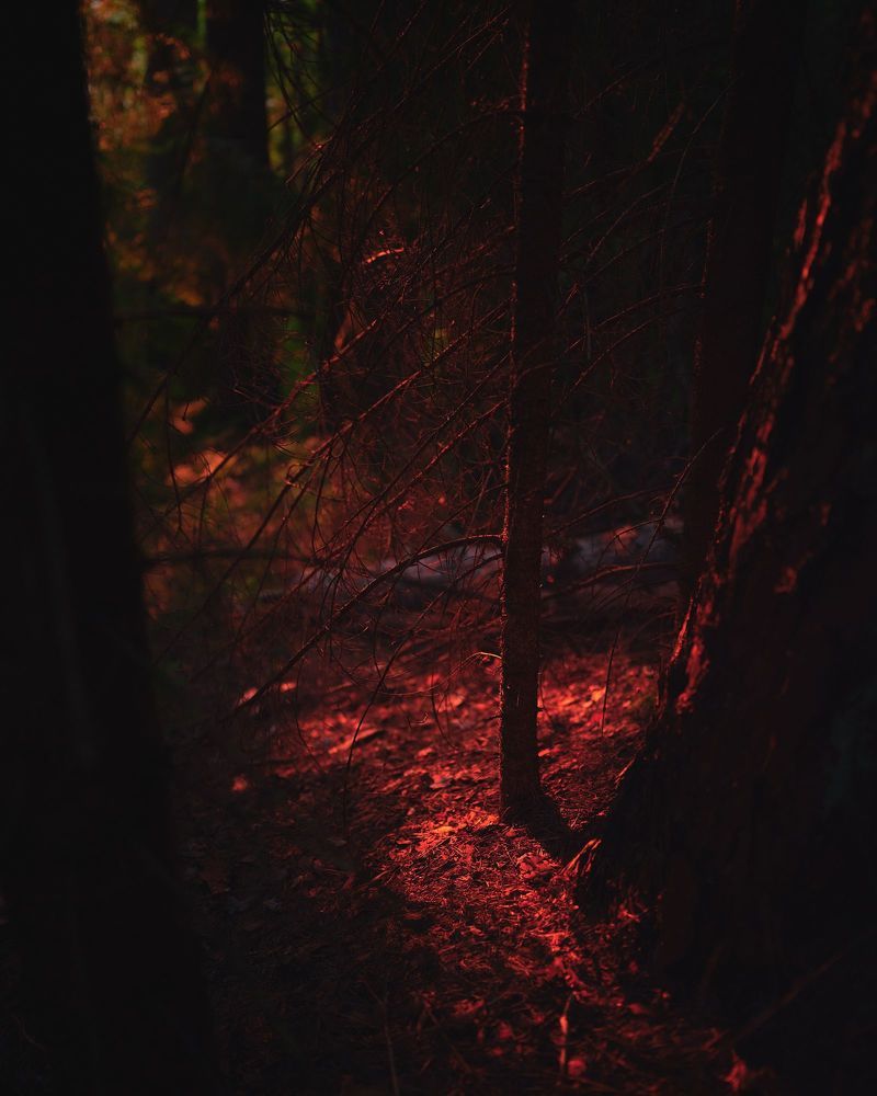 Photo 1995830