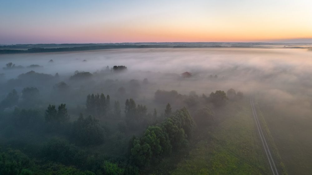 Туманное утро