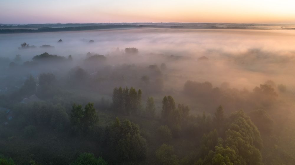 Туманное утро