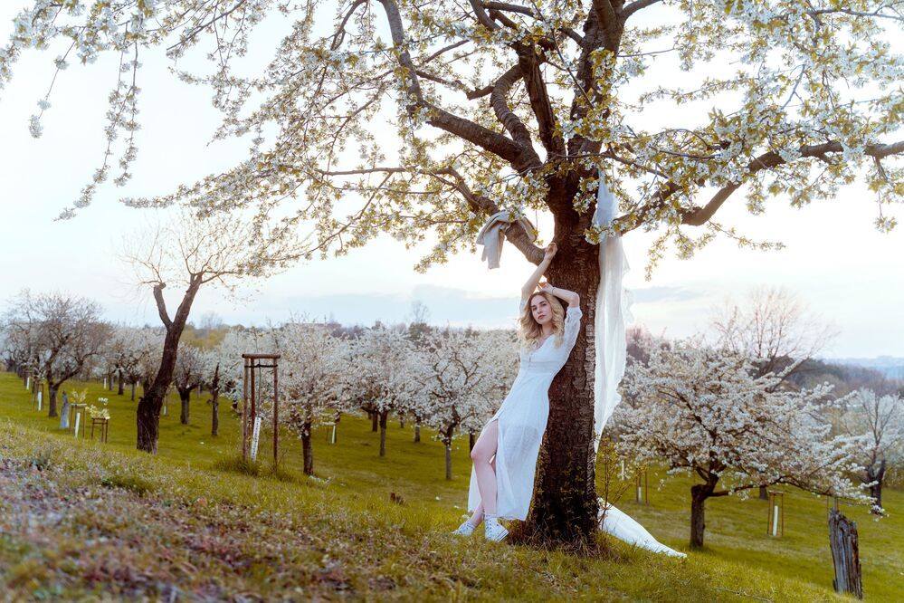 Photo 1996974