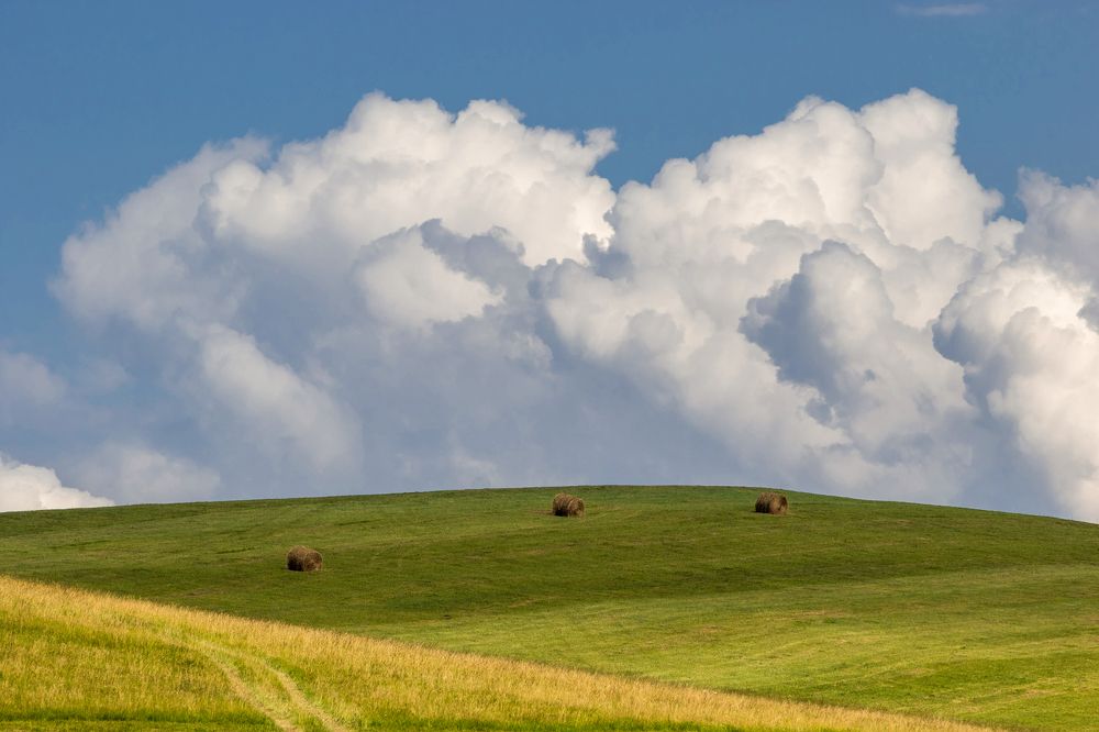 Летние зарисовки ...