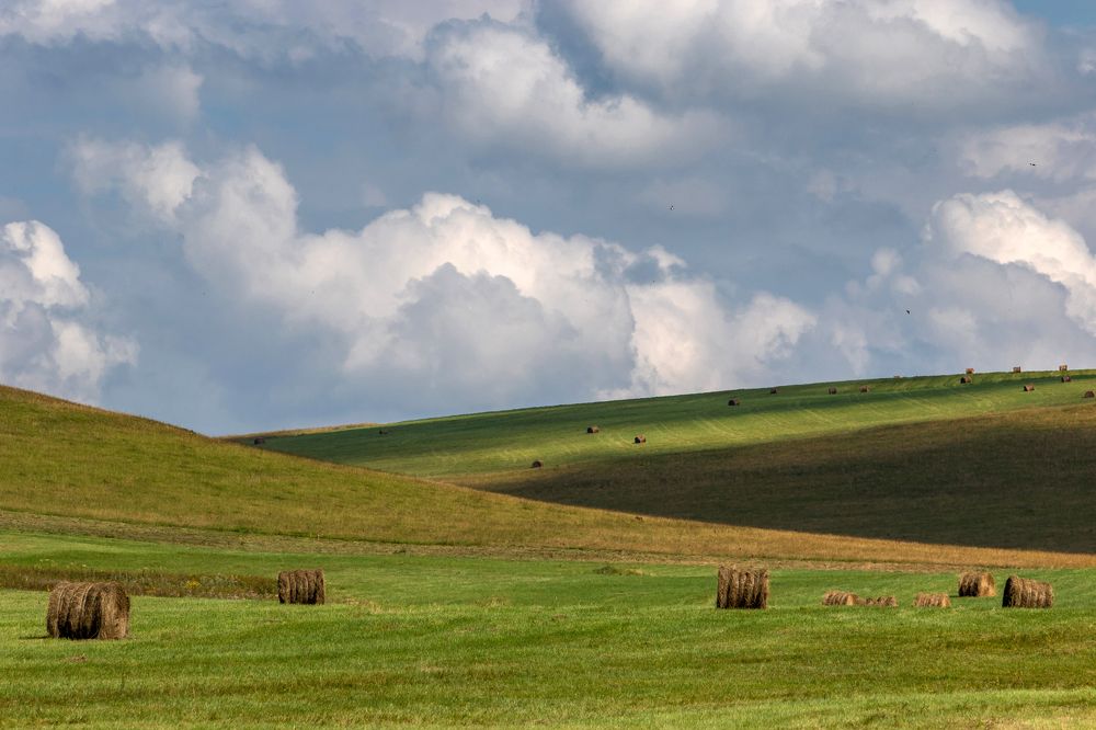 Летние зарисовки ...