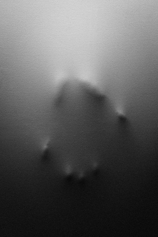 Photo 1998734