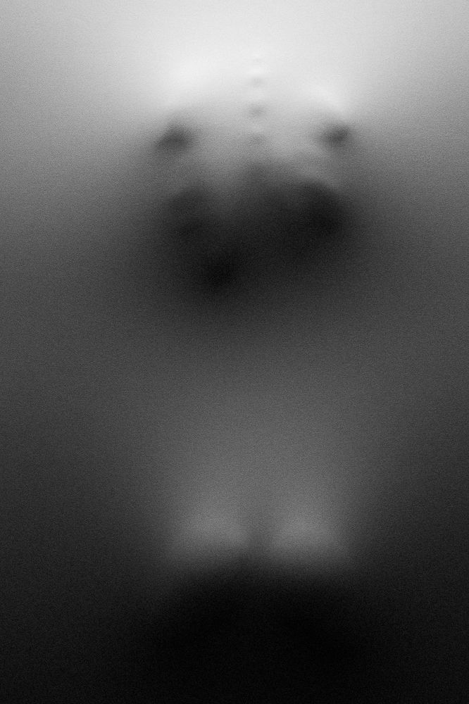 Photo 1998735