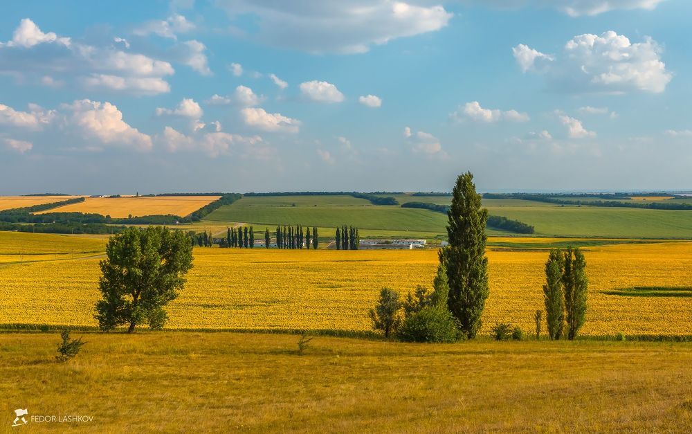 Ставропольское лето