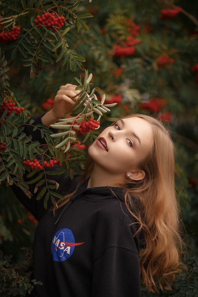 Рябиновый космос