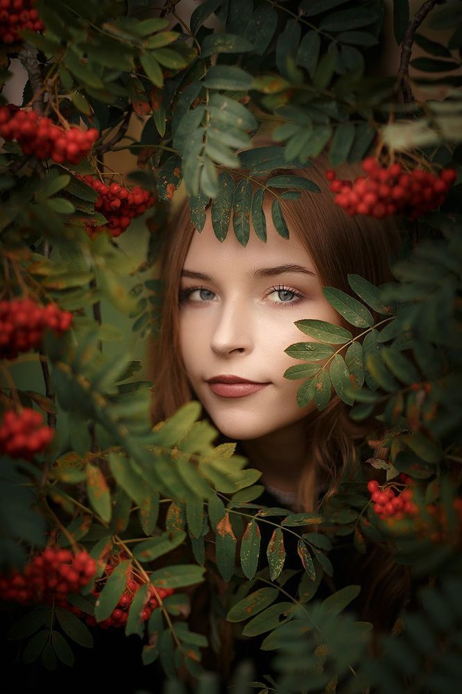 Рябиновый космос