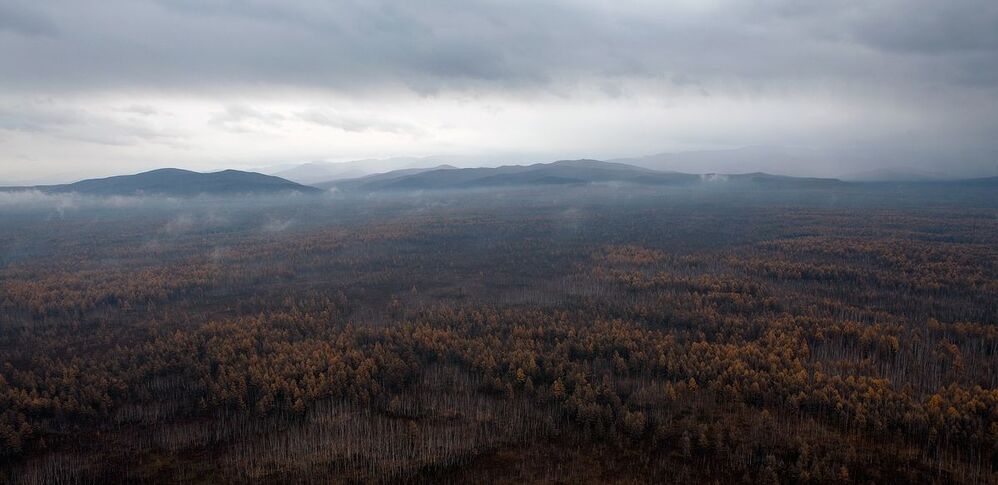 Впечатления одного полета